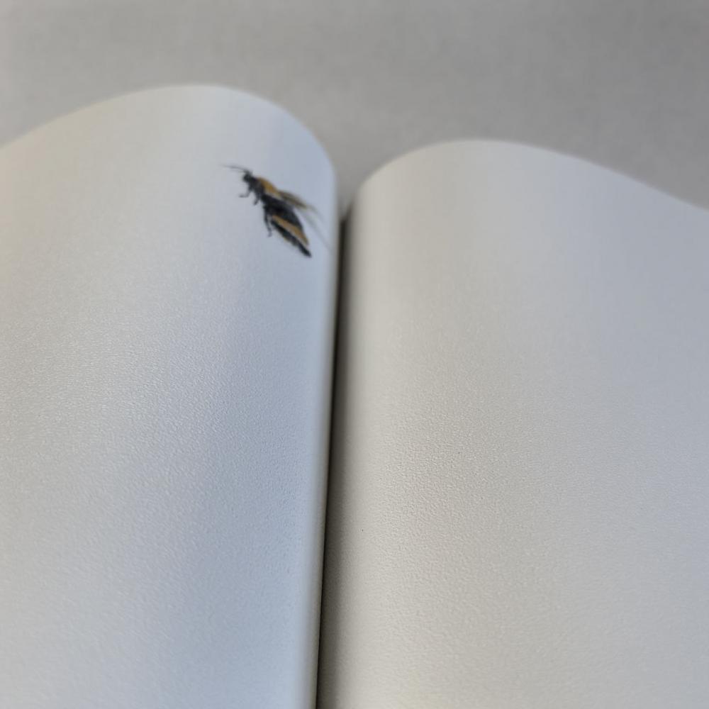 Andrea Rossi Cavolli 54418-1