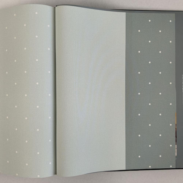 Andrea Rossi Spectrum Box 54455-11