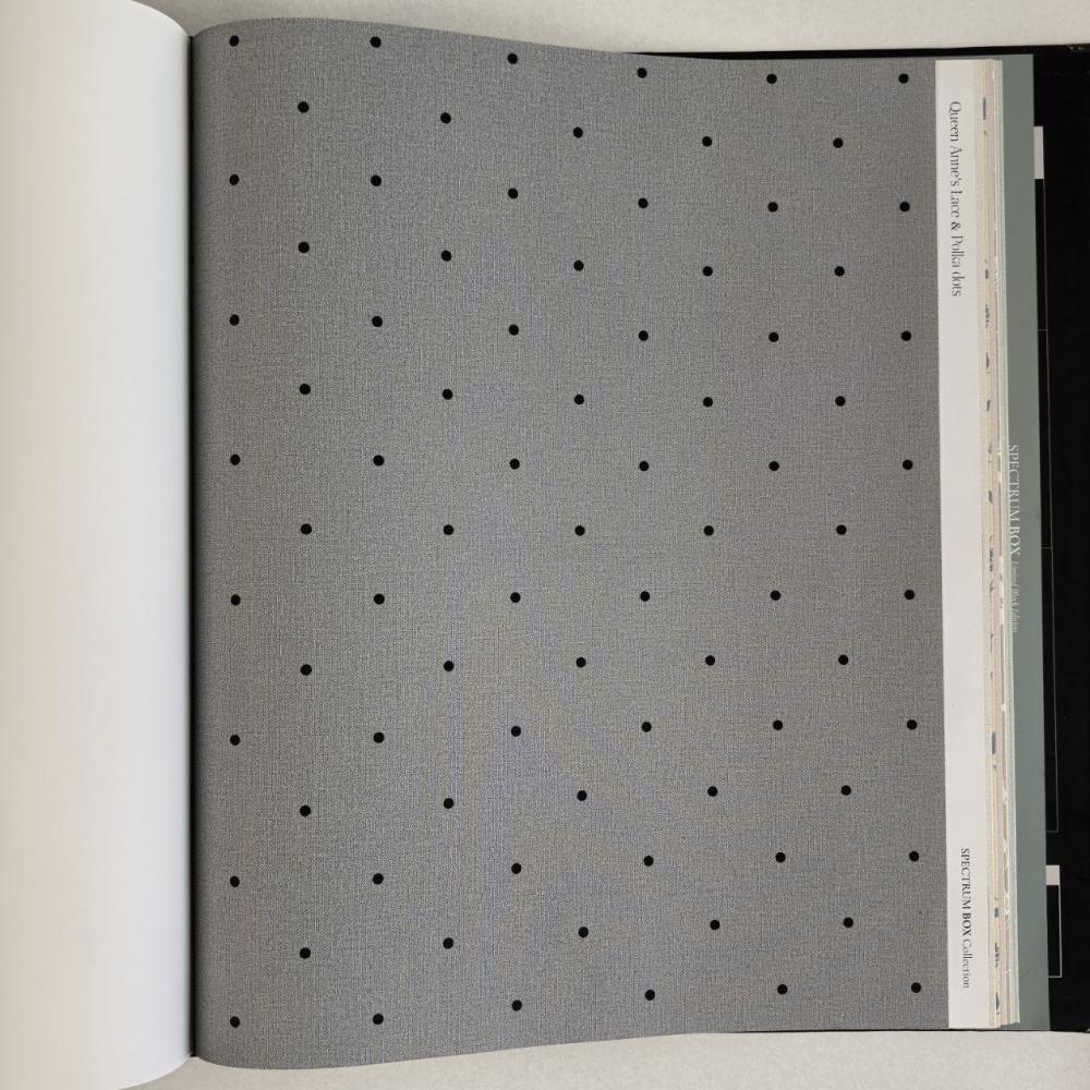 Andrea Rossi Spectrum Box 54454-25 Andrea Rossi Spectrum Box 54454-25