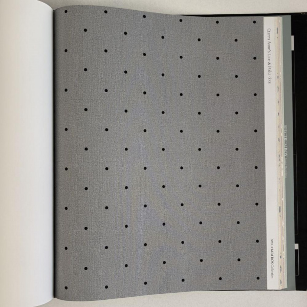 Andrea Rossi Spectrum Box 54454-25 Andrea Rossi Spectrum Box 54454-25