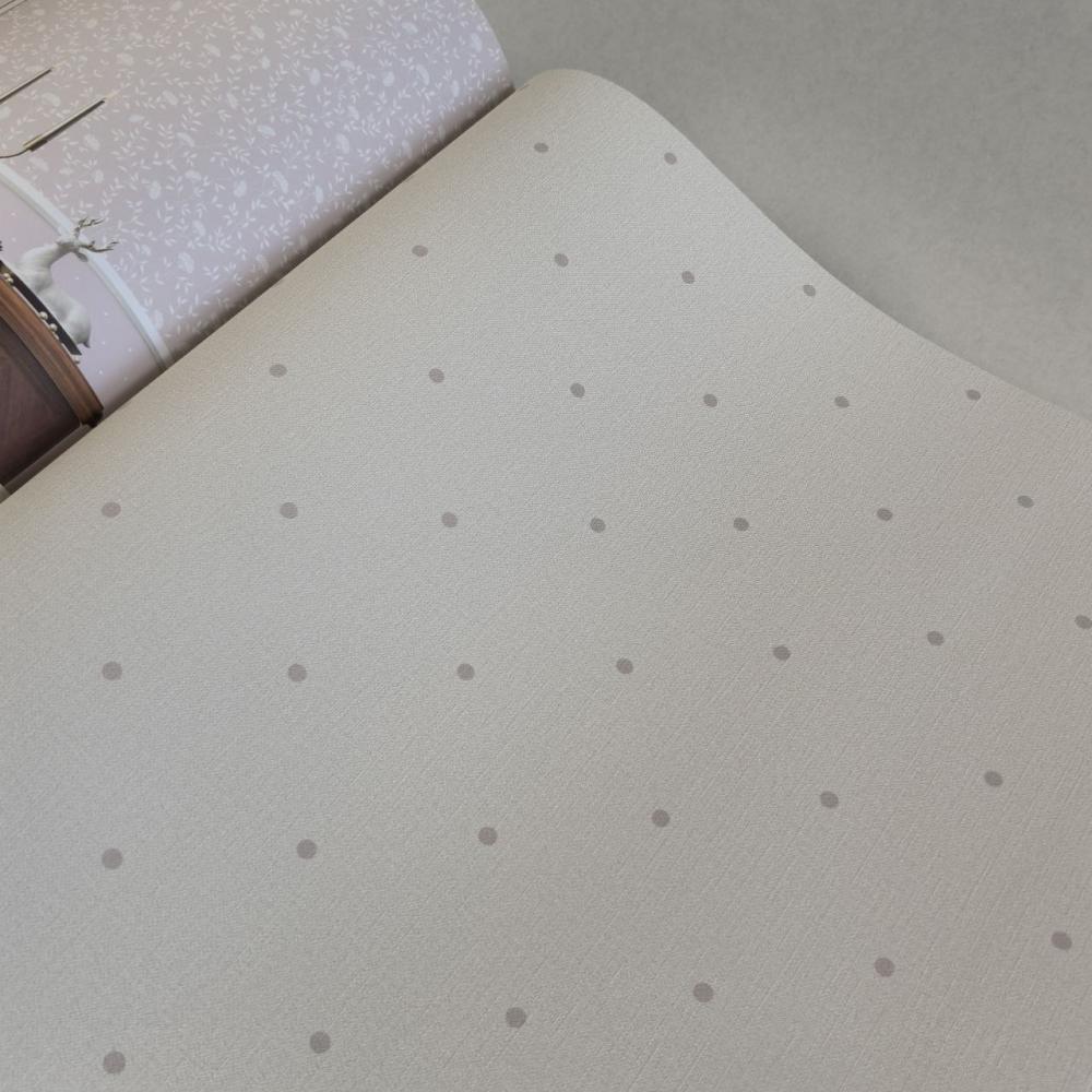 Andrea Rossi Spectrum Box 54454-21